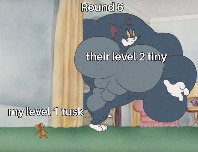 Round 6 Tiny