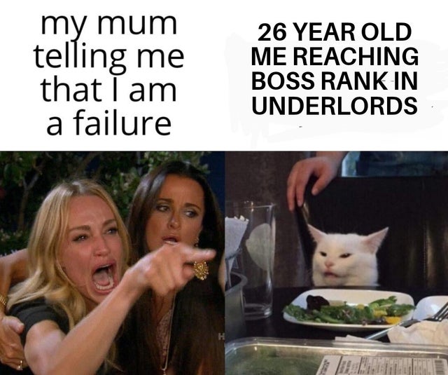 26 year old me reaching boss rank in Underlords